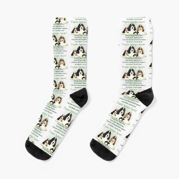 English Springer Spaniel Puppies Heritage of Love Socks