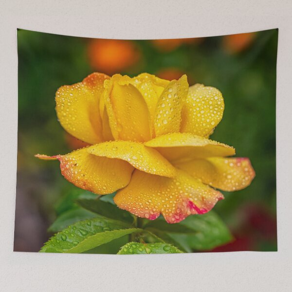 Item preview, Garden Rose designed and sold by AJEvans.