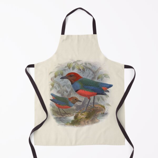 Item preview, Vintage Painting of Pitta Caeruleo - A Jewel Thrush designed and sold by TheCurators.