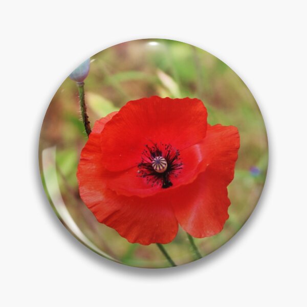 Item preview, Vivid Red Poppy  designed and sold by Cynthia48.