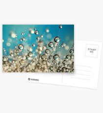 Crazy Cactus Droplets Postcards