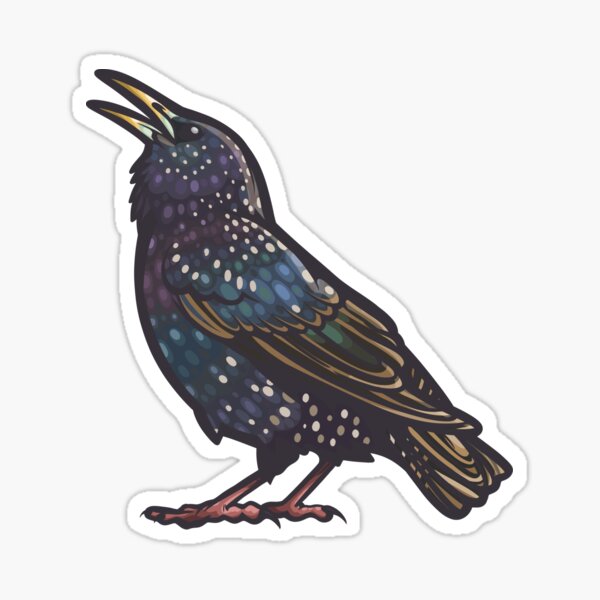 European Starling Sticker