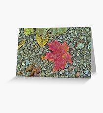 Fallen Leaves Greeting Card