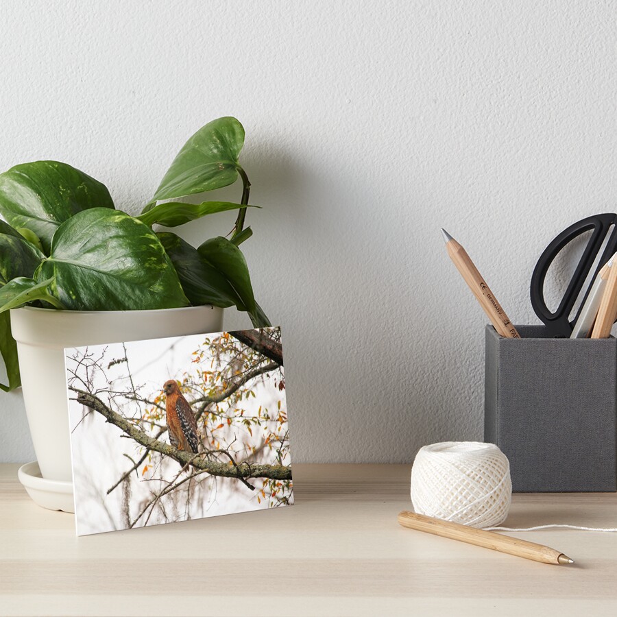Item preview, Art Board Print designed and sold by Cynthia48.