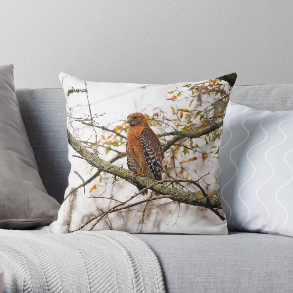 Hawk In Deep Thought Throw Pillow