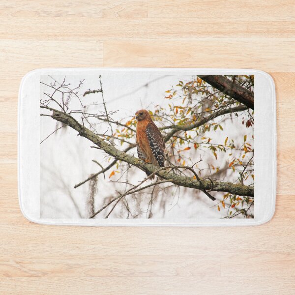 Item preview, Hawk In Deep Thought designed and sold by Cynthia48.