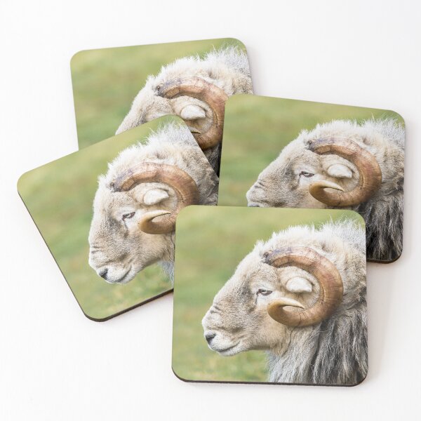 Item preview,  Herdwick Ram Portrait designed and sold by Jane Stanley Photography.