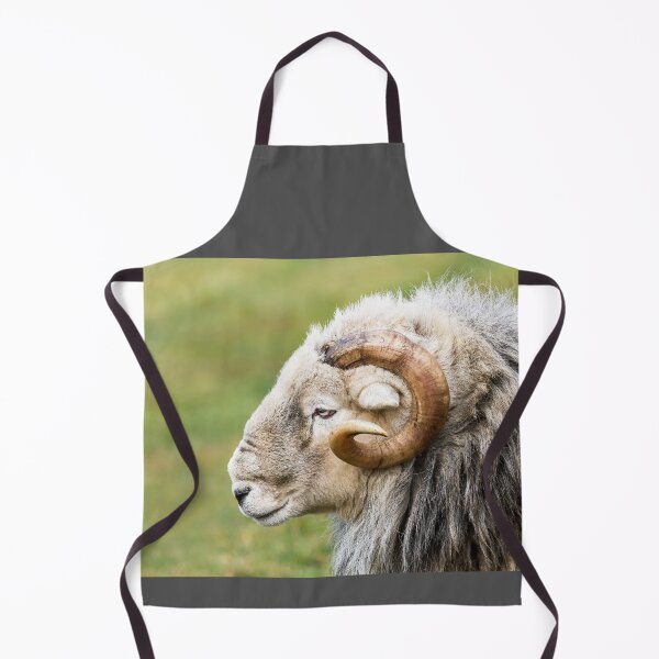 Item preview, Herdwick Ram Portrait designed and sold by Jane Stanley Photography.