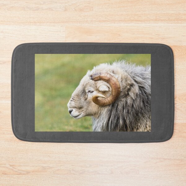 Item preview,  Herdwick Ram Portrait designed and sold by Jane Stanley Photography.