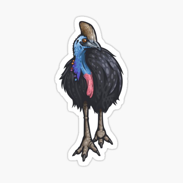 Item preview, Southern Cassowary designed and sold by Eambo's Cave.