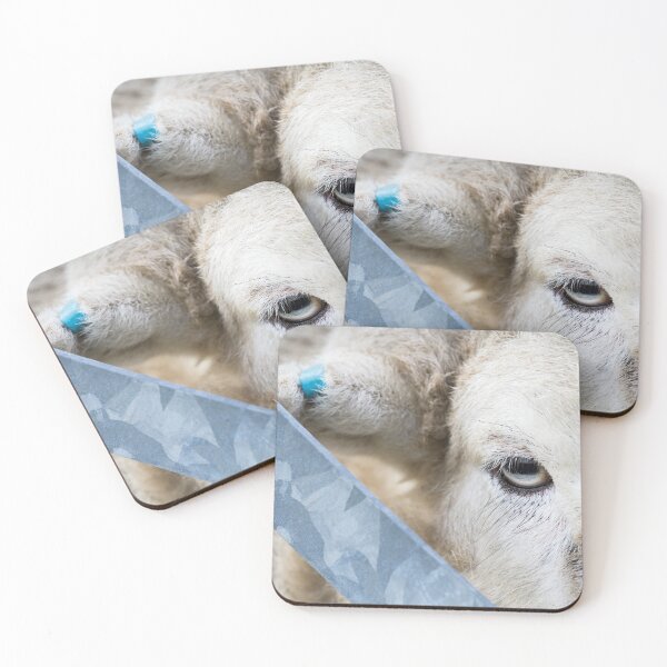 Item preview, Got my eye on Ewe designed and sold by Jane Stanley Photography.