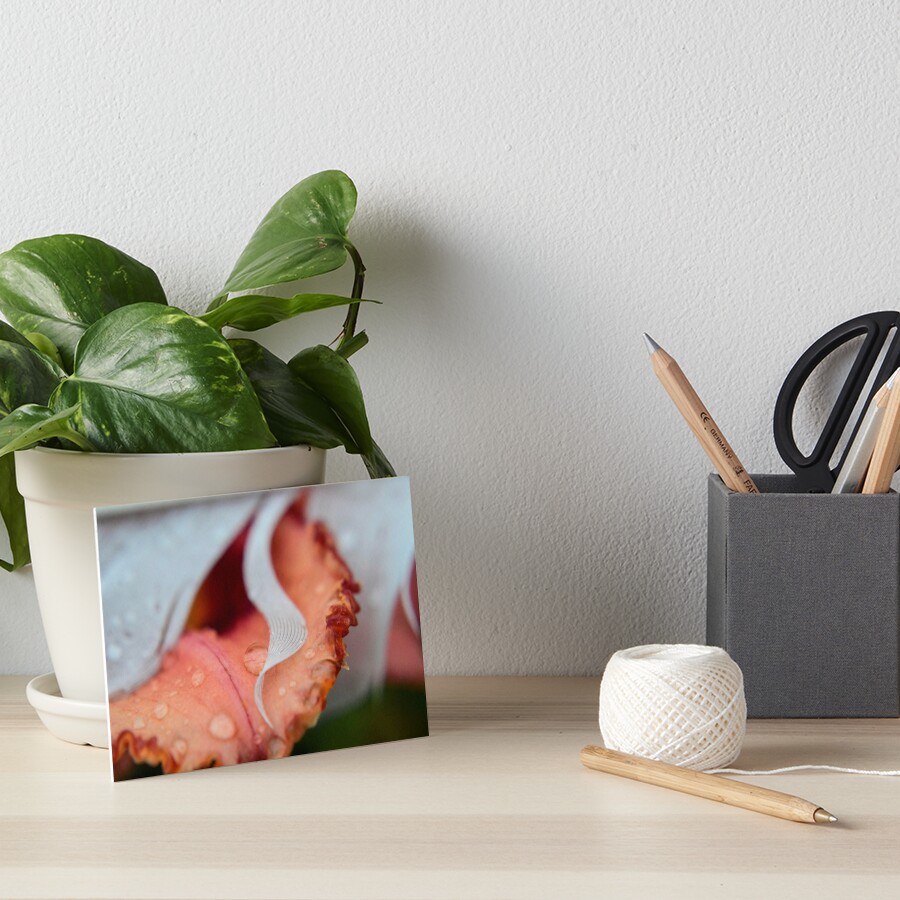 Item preview, Art Board Print designed and sold by RewskiPhotos.