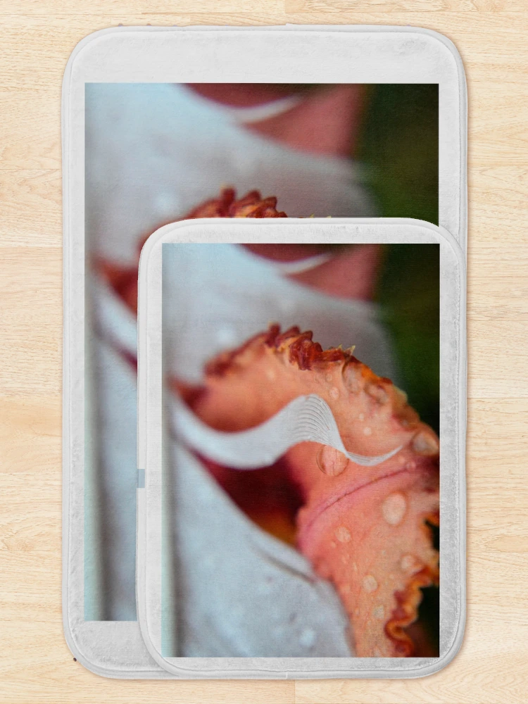 Thumbnail 5 of 6, Bath Mat, Ruffled Edges designed and sold by RewskiPhotos.