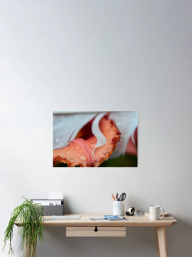 Thumbnail 2 of 3, Poster, Ruffled Edges designed and sold by RewskiPhotos.