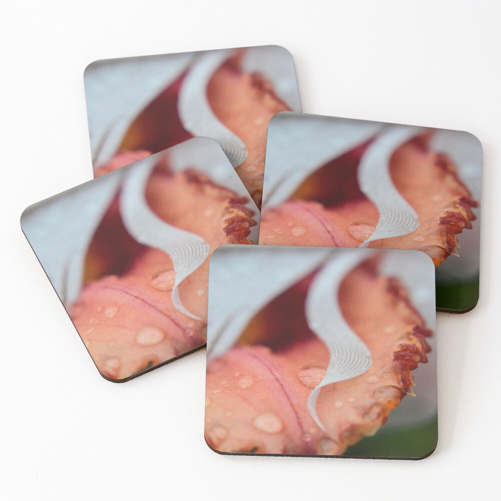 Item preview, Coasters (Set of 4) designed and sold by RewskiPhotos.