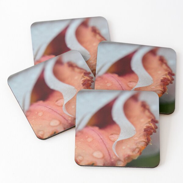 Item preview, Ruffled Edges designed and sold by RewskiPhotos.