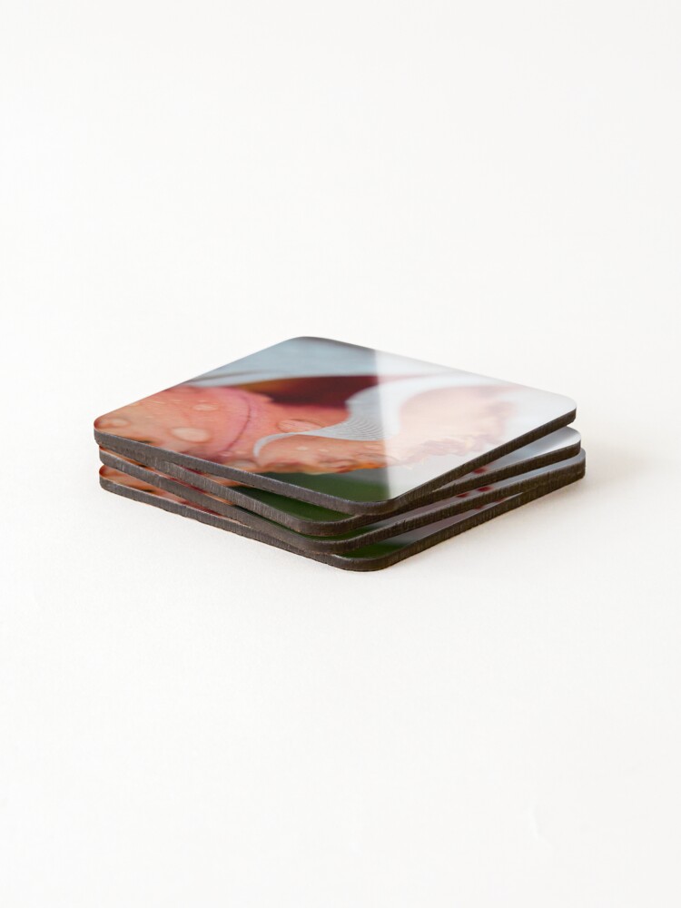 Thumbnail 4 of 5, Coasters (Set of 4), Ruffled Edges designed and sold by RewskiPhotos.