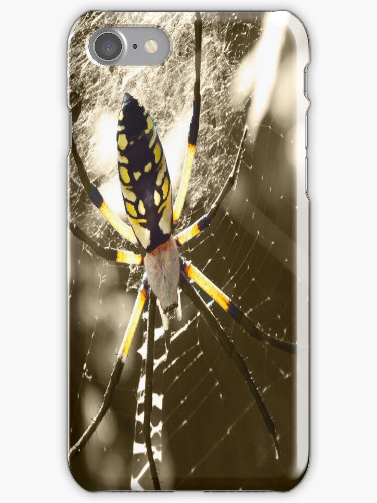 "Hanging Around" iPhone Cases & Skins by hannahsview Redbubble