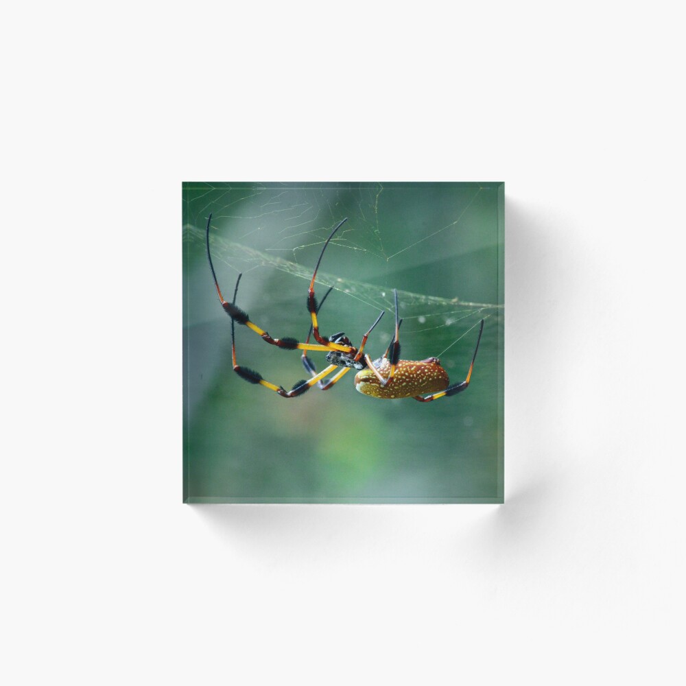 Item preview, Acrylic Block designed and sold by RewskiPhotos.