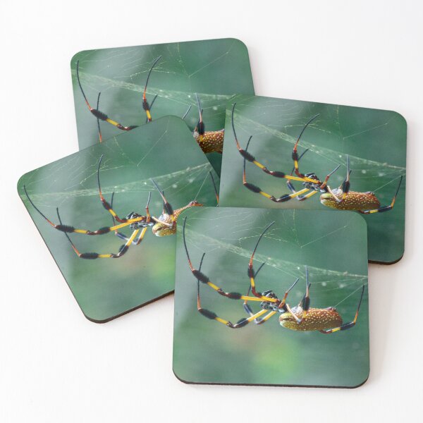 Item preview, The Webs We Weave designed and sold by RewskiPhotos.