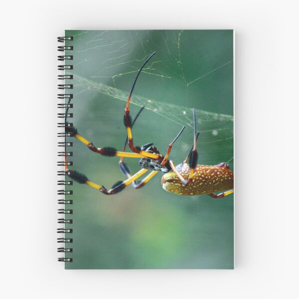 Item preview, Las webs que tejemos designed and sold by RewskiPhotos.