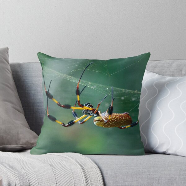 Item preview, The Webs We Weave designed and sold by RewskiPhotos.