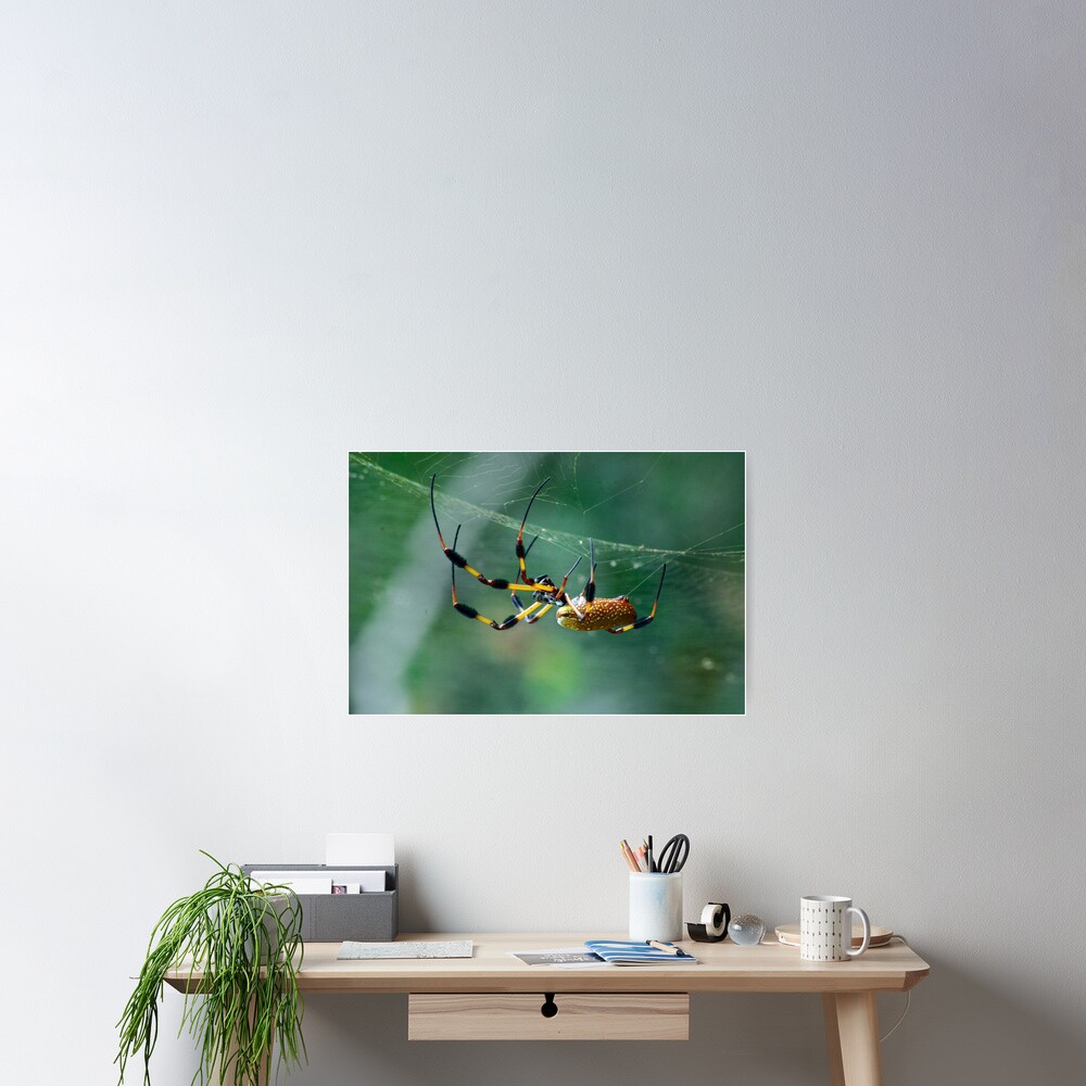 Item preview, Poster designed and sold by RewskiPhotos.