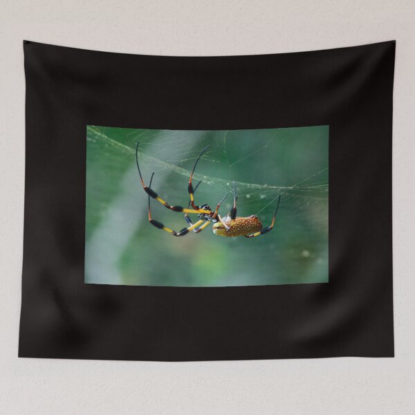 Item preview, The Webs We Weave designed and sold by RewskiPhotos.