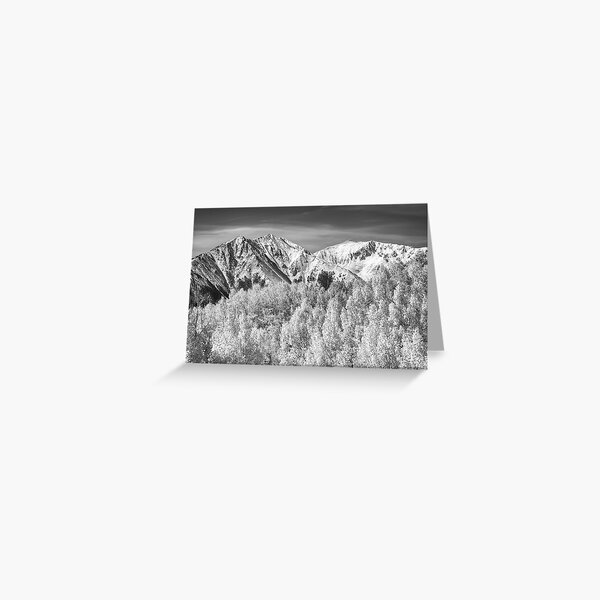 Colorado Rocky Mountain Autumn Magic Black and White Greeting Card