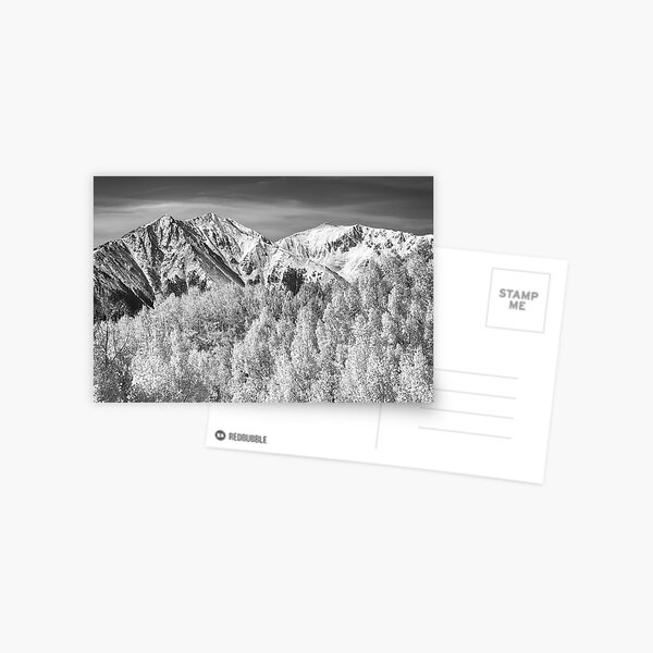 Colorado Rocky Mountain Autumn Magic Black and White Postcard