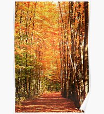 Golden Path Poster