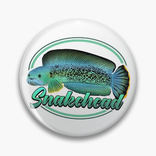 Item preview, Snakehead Channa Ophicephalus Tropical Ornamental Aquarium Fish Gift designed and sold by TheAplus.