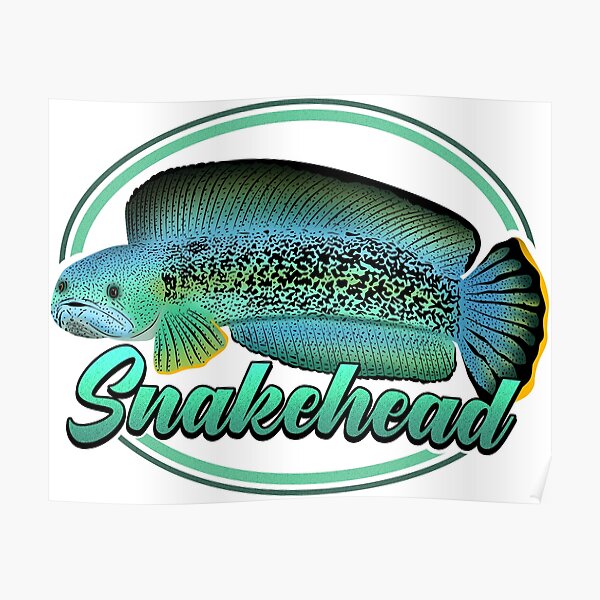 Snakehead Fish Logo Design