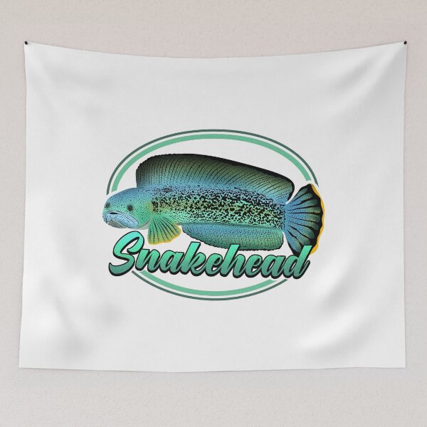 Item preview, Snakehead Channa Ophicephalus Tropical Ornamental Aquarium Fish Gift designed and sold by TheAplus.