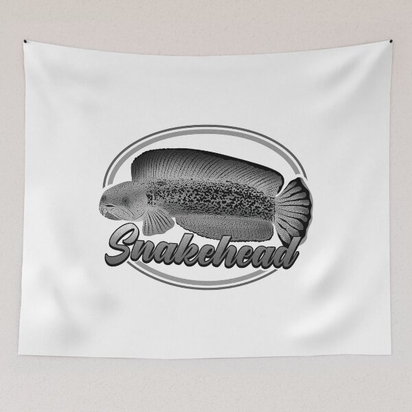 Item preview, Snakehead b/w Channa Ophicephalus Tropical Ornamental Aquarium Fish Gift designed and sold by TheAplus.