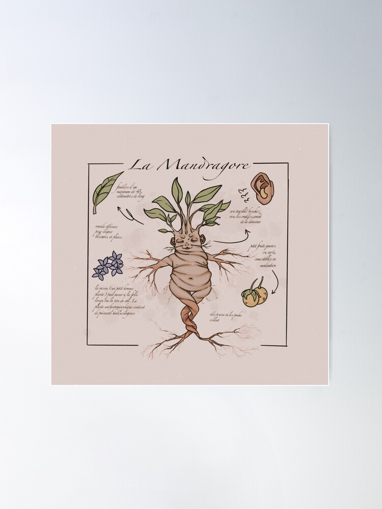 fposter,large,wall_texture,