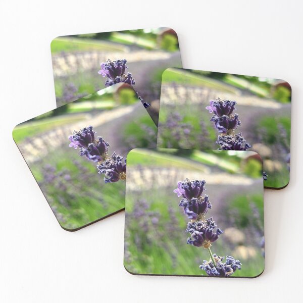 Item preview, Lavender designed and sold by Picturethat1.