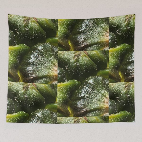 Item preview, Pineapple Nutrition Nutrients Nature   designed and sold by Kaushal Pal.