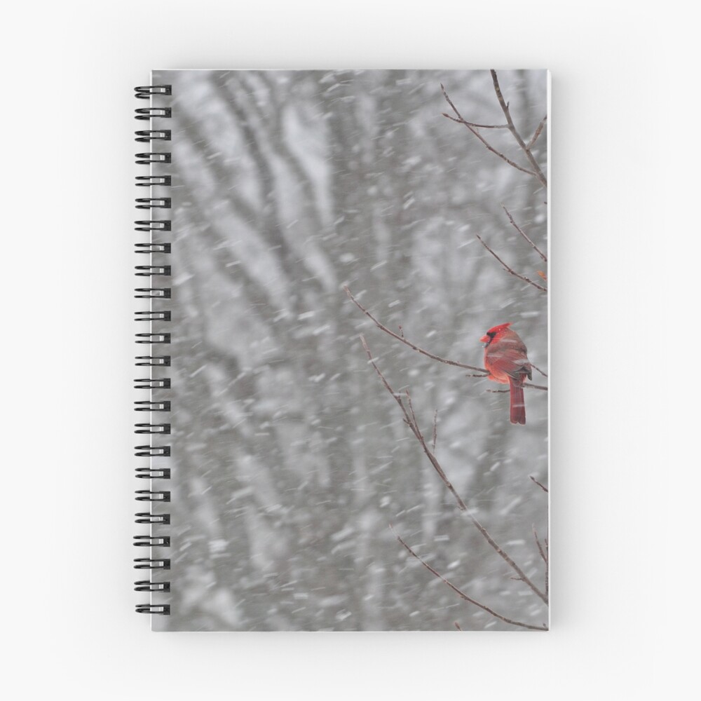 Item preview, Spiral Notebook designed and sold by InGFocus.