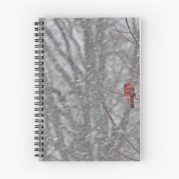 Item preview, Winter Cardinal designed and sold by InGFocus.