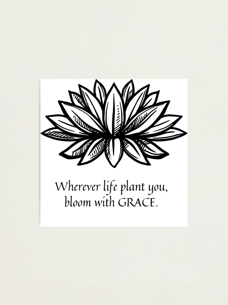 Impression Photo Citation De Fleur De Lotus Zen Par Judahnations Redbubble