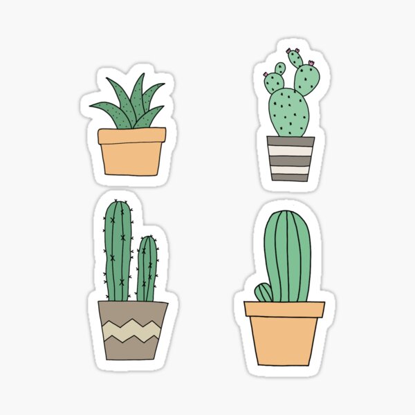 Cactus Girl Gifts Merchandise Redbubble - tall cactus roblox