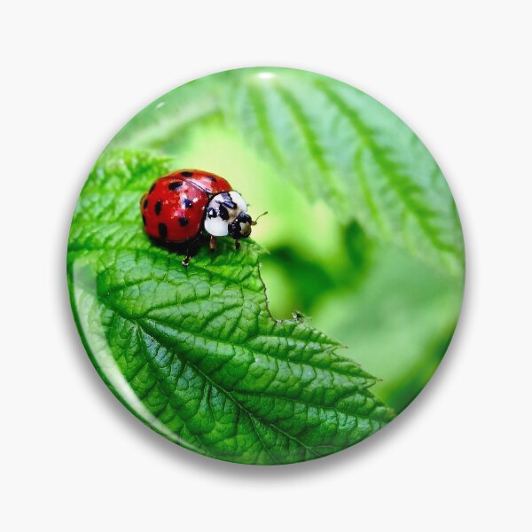 Item preview, Ladybug walking along curved leaf designed and sold by BBrightman.
