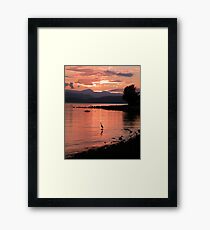 Sunset Heron Framed Print