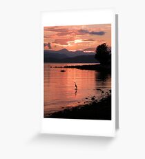 Sunset Heron Greeting Card