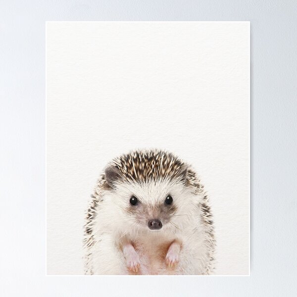 Item preview, Baby Hedgehog, Baby Animals Art Print by Synplus designed and sold by synplus.