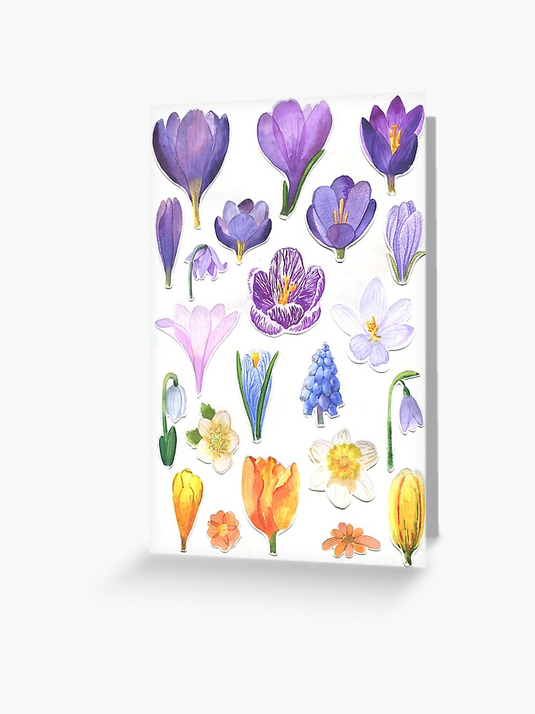 Tarjetas de felicitación «Flores primaverales, lilas y amarillas.» de  fiolika | Redbubble