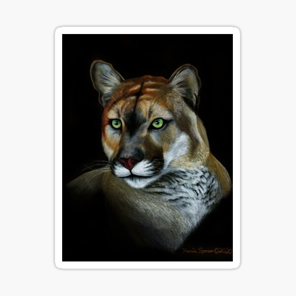 Florida Panther Portrait Sticker