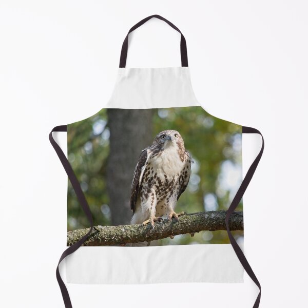 Item preview, Hawk designed and sold by Ericyaw.