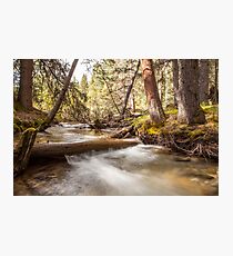 Banff National Park Photographic Print